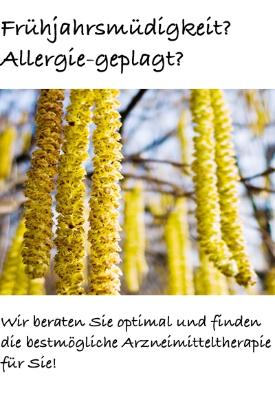 Foto von Birkenblütenständen mit Slogans: Frühjahrsmüdigkeit? Allergie-geplagt? Blütenkätzchen einer Birke – Symbolbild für Pollenflug und Allergien  Wir beraten Sie optimal und finden die bestmögliche Arzneimitteltherapie.