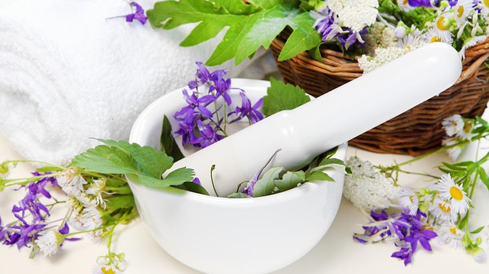 Verschiedene Heilpflanzen, Blüten und frische Kräuter neben und in einer Porzellanreibschale mit Pistill – Symbolbild für pflanzliche Arzneimittel und Naturheilkunde.